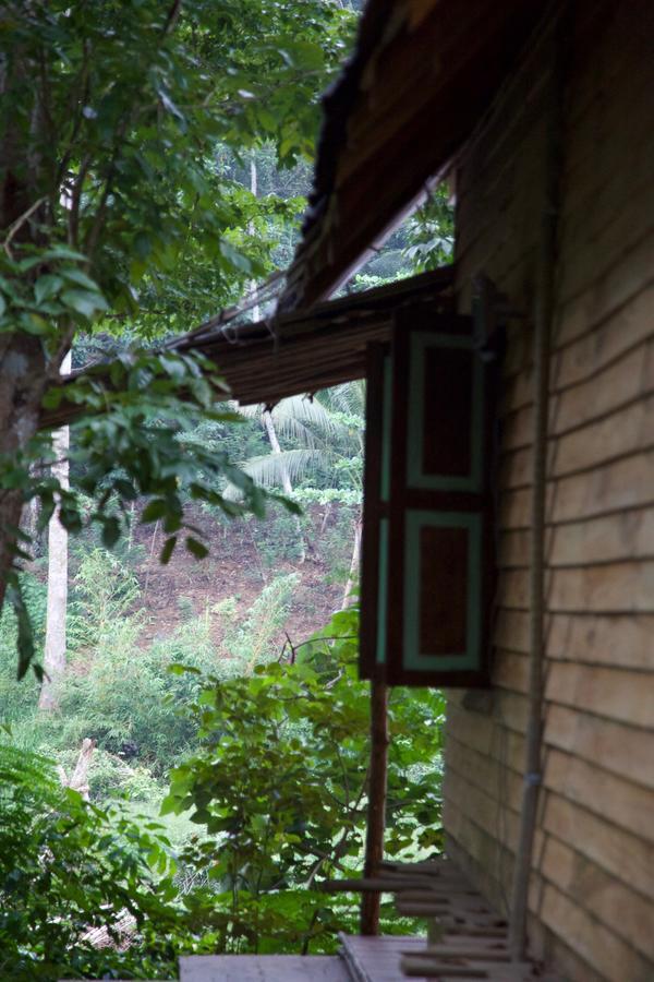 Bedda Eco Cottages Deniyaya Exterior foto
